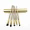 5pcs Professional Mini Travel Makeup Brush Set Portable Aluminum Cylinder Eye Lip Tool Kit 10