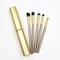5pcs Professional Mini Travel Makeup Brush Set Portable Aluminum Cylinder Eye Lip Tool Kit 3
