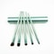 5pcs Professional Mini Travel Makeup Brush Set Portable Aluminum Cylinder Eye Lip Tool Kit 6