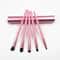 5pcs Professional Mini Travel Makeup Brush Set Portable Aluminum Cylinder Eye Lip Tool Kit 8