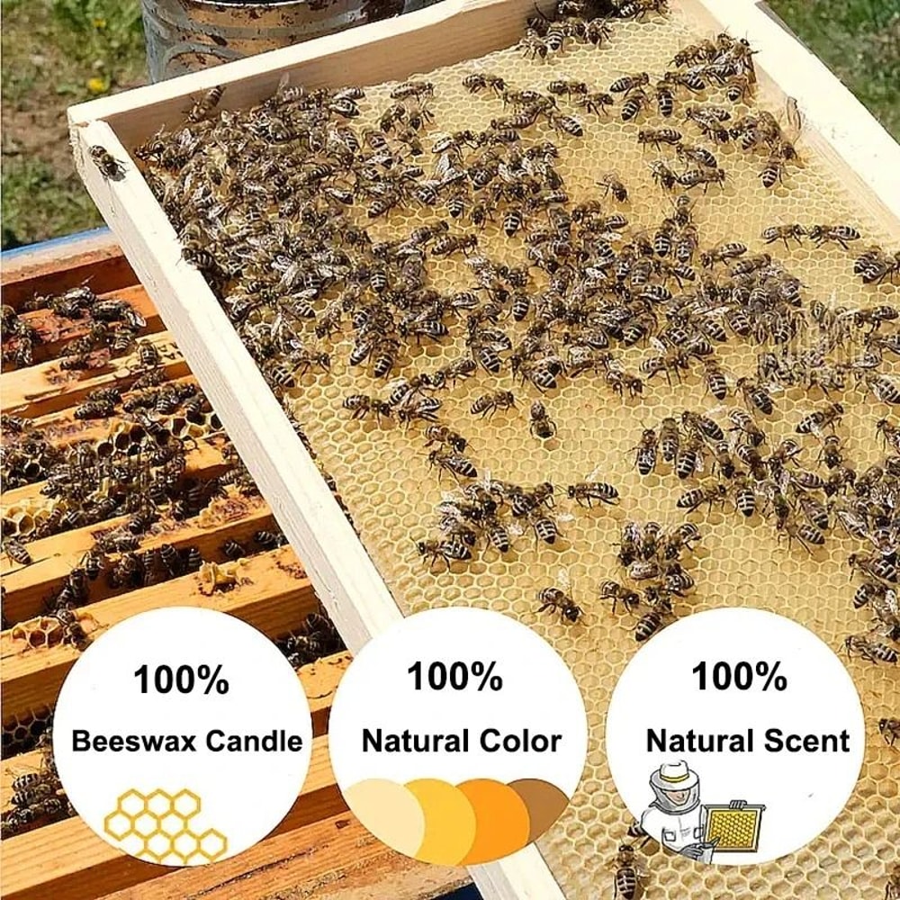 25PCS Natural Beeswax Hanukkah Candles Professional Thin Taper Honey Candles For Ritual Celebratio 5