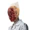 Terrifying Nurse Model Halloween Cosplay Mask Horror Role Play Costume 5