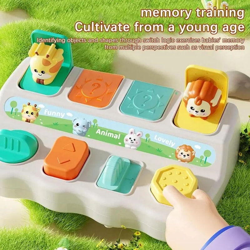 Montessori PopUp Animal Toys Learning Boxes Logic Motor Skill Development 2