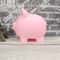 Cute Pink Small Piggy Bank And HighPerformance Money Saving Storage System 6