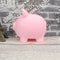 Cute Pink Small Piggy Bank And HighPerformance Money Saving Storage System 6