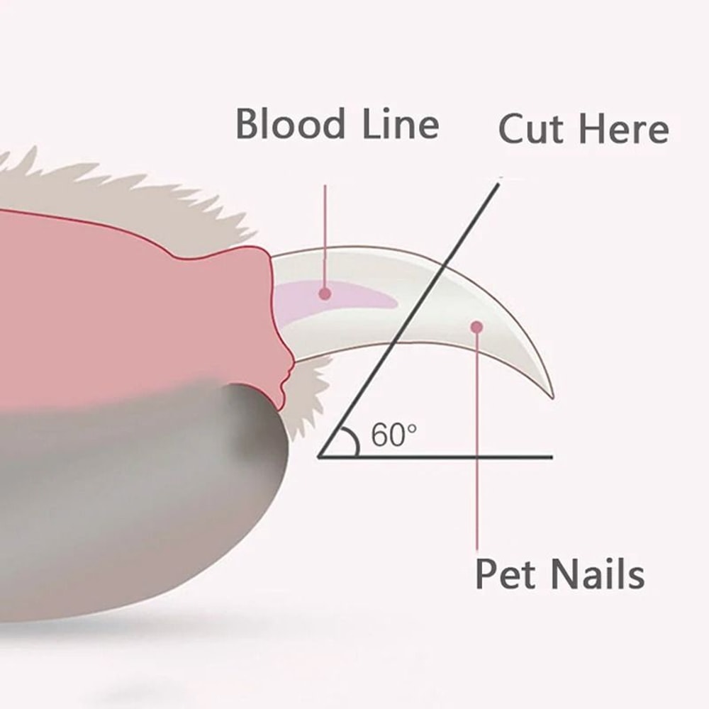 LED Pet Nail Clipper And HighPerformance Claw Grooming Architecture 4