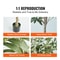 Premium Lifelike Artificial Olive Tree With Mediterranean Elegance 3