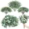 Premium Mixed Eucalyptus Greenery Stems Bulk Set 0