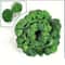 Lush Artificial Ivy Creeper Garland 9