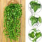 Lush Artificial Ivy Creeper Garland 2