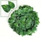 Timeless Silk Ivy Leaf Garland 8