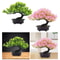 Artificial Bonsai Tree Japanese Pine For Modern Home And Office Decor 0