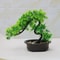 Artificial Bonsai Tree Japanese Pine For Modern Home And Office Decor 3
