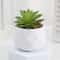 Mini Artificial Succulent Bonsai Simulation Potted Cactus Decor 9