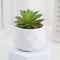 Mini Artificial Succulent Bonsai Simulation Potted Cactus Decor 9