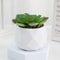 Mini Artificial Succulent Bonsai Simulation Potted Cactus Decor 12