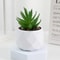 Mini Artificial Succulent Bonsai Simulation Potted Cactus Decor 13