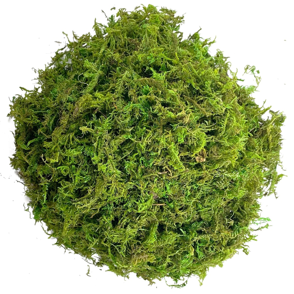 Premium Artificial Green Moss For Potted Plants And Orchid Potting Mix 7