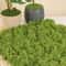 Artificial Eternal Life Moss Decorative Green Grass For DIY Crafts Potting 3