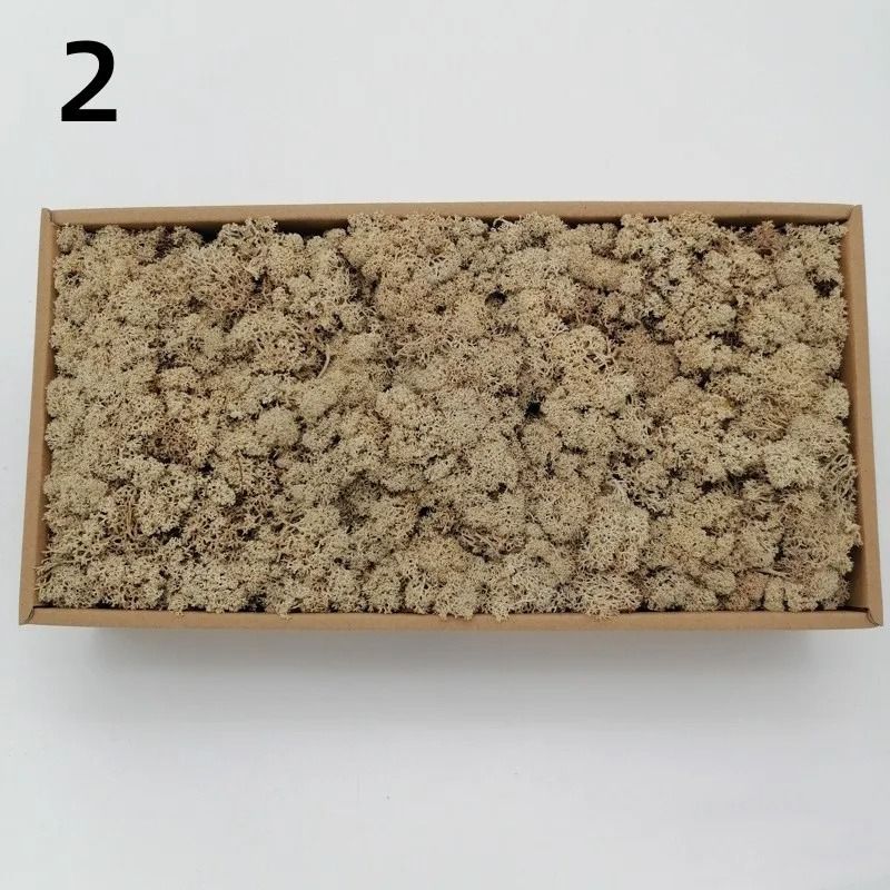 Premium Artificial Forest Moss Eternal Life Green Grass For Terrariums Mini Landscapes 8