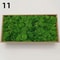 Premium Artificial Forest Moss Eternal Life Green Grass For Terrariums Mini Landscapes 17