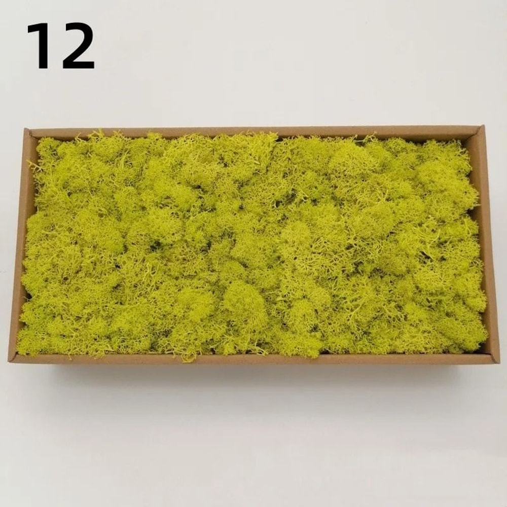 Premium Artificial Forest Moss Eternal Life Green Grass For Terrariums Mini Landscapes 18