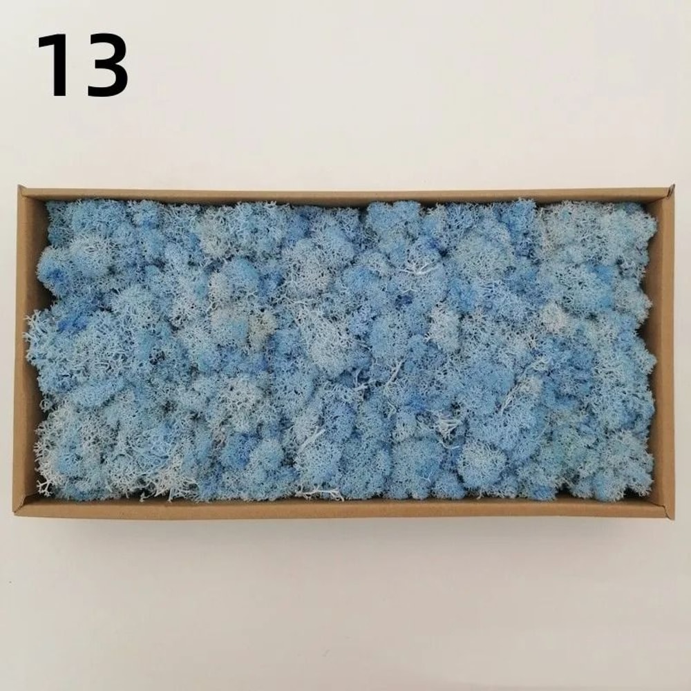 Premium Artificial Forest Moss Eternal Life Green Grass For Terrariums Mini Landscapes 19