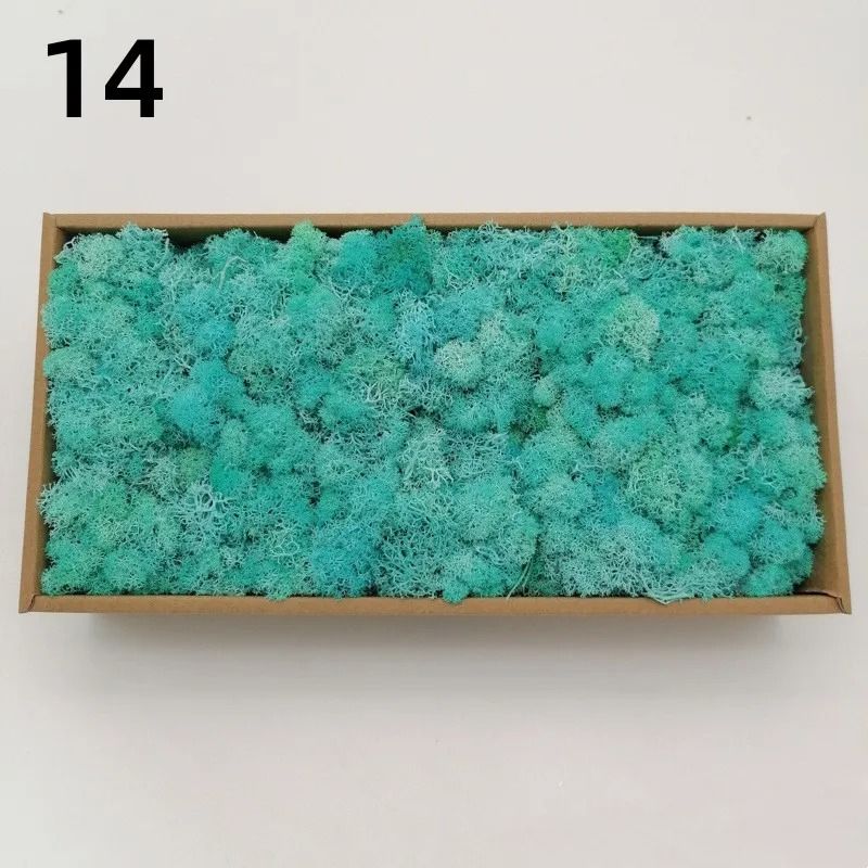 Premium Artificial Forest Moss Eternal Life Green Grass For Terrariums Mini Landscapes 20