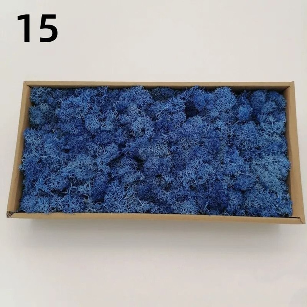 Premium Artificial Forest Moss Eternal Life Green Grass For Terrariums Mini Landscapes 21