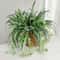 60cm Artificial Spider Plant Orchid Hanging Greenery Wall Decor 0