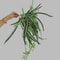60cm Artificial Spider Plant Orchid Hanging Greenery Wall Decor 1