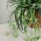 60cm Artificial Spider Plant Orchid Hanging Greenery Wall Decor 3
