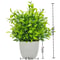 Modern Mini Artificial Potted Flower Desktop Bonsai False Plant Ornament 11