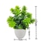 Modern Mini Artificial Potted Flower Desktop Bonsai False Plant Ornament 8