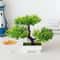 Zen Garden Mini Artificial Bonsai Faux Potted Small Tree Decoration 19