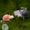 Mini Cute Animal Figurines 1 12 Scale Fairy Garden Miniatures Bonsai Crafts 19