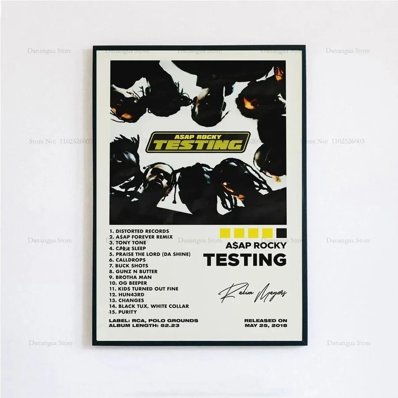 ASAP Rocky Testing Music Poster HipHop Album Cover Wall Art For Home Decor 22