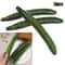 3Pcs Realistic Simulation Cucumbers 26cm Lifelike Artificial Vegetable Props For Home Kitchen 4