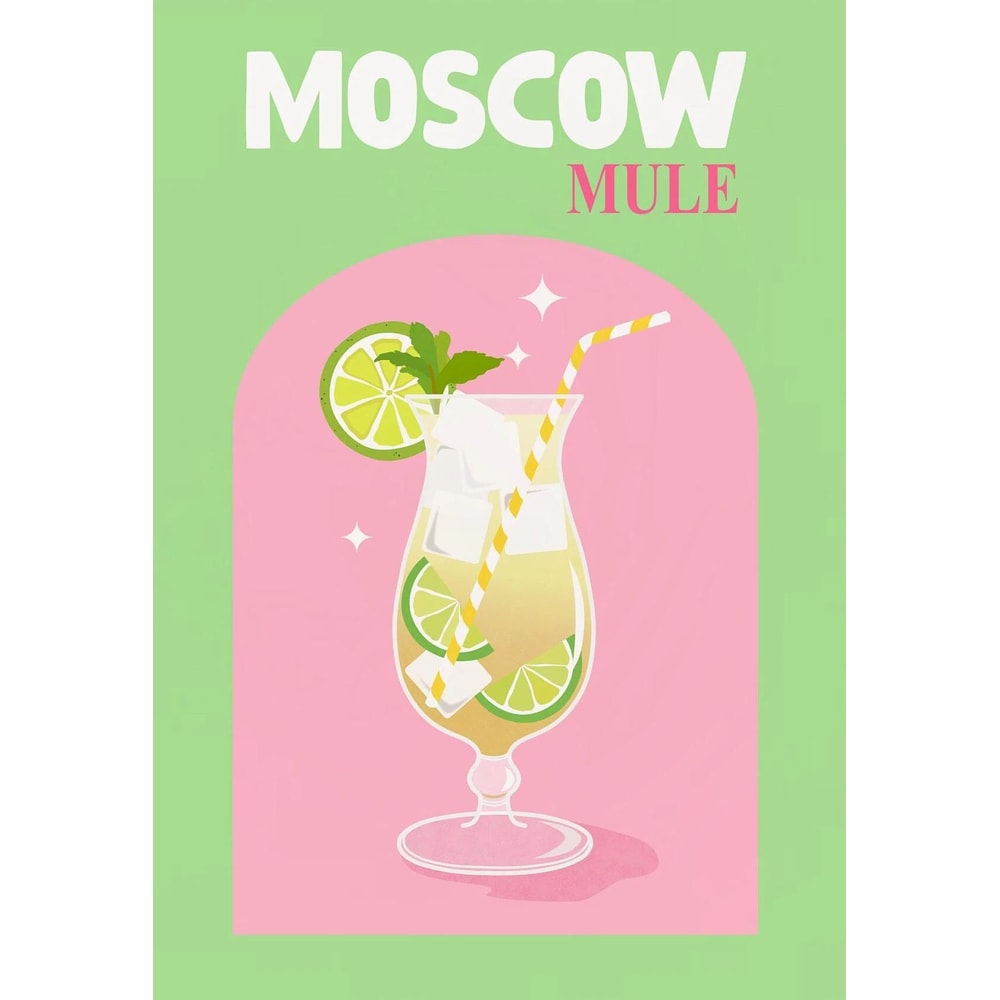 Trendy Colorful Cocktail Posters Modern Whiskey Bar Cart Canvas Prints 8