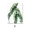 Nordic Green Plants Canvas Wall Art Monstera Banana Leaf Botanical Prints 10