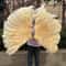 Grand Ostrich Feather Folding Fan Professional Stage Carnival Dance Fan 0