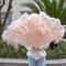 Grand Ostrich Feather Folding Fan Professional Stage Carnival Dance Fan 15