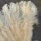 Grand Ostrich Feather Folding Fan Professional Stage Carnival Dance Fan 1