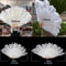 Grand Ostrich Feather Folding Fan Professional Stage Carnival Dance Fan 2