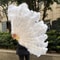 Grand Ostrich Feather Folding Fan Professional Stage Carnival Dance Fan 5