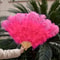 Grand Ostrich Feather Folding Fan Professional Stage Carnival Dance Fan 7