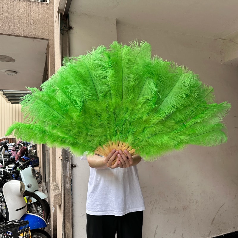 Grand Ostrich Feather Folding Fan Professional Stage Carnival Dance Fan 19