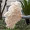 Grand Ostrich Feather Folding Fan Professional Stage Carnival Dance Fan 22