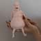 Funny Belly Doll Figurine Quirky Expressive Silicone Desktop Decor 0