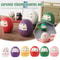 Miniature Japanese Ceramic Daruma Lucky Fortune Charm Zen Home Ornament 3